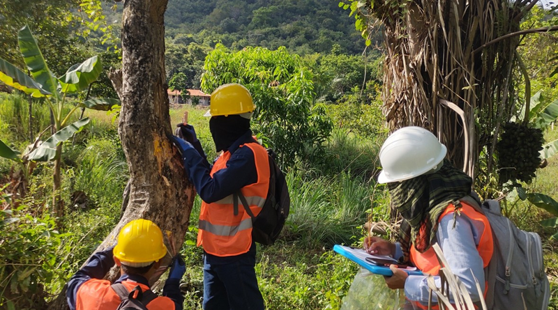 Una gestión forestal sostenible también puede ser rentable