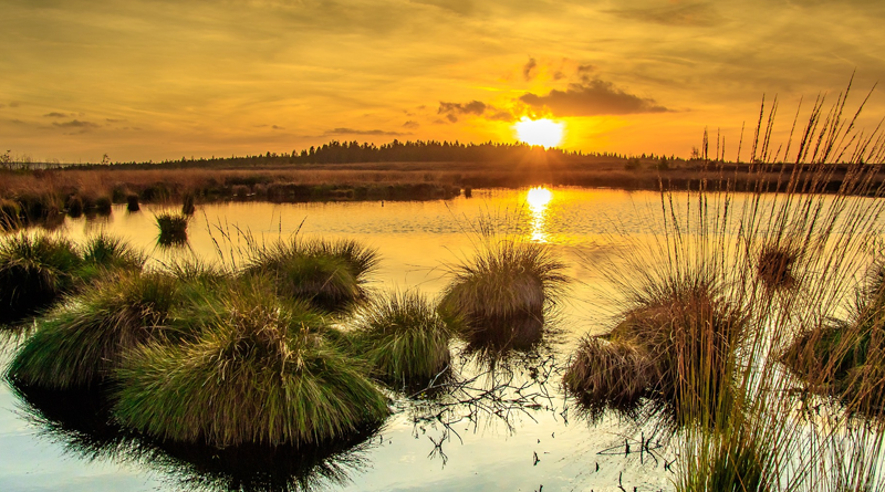 Sin ley, los humedales siguen perdiendo protección
